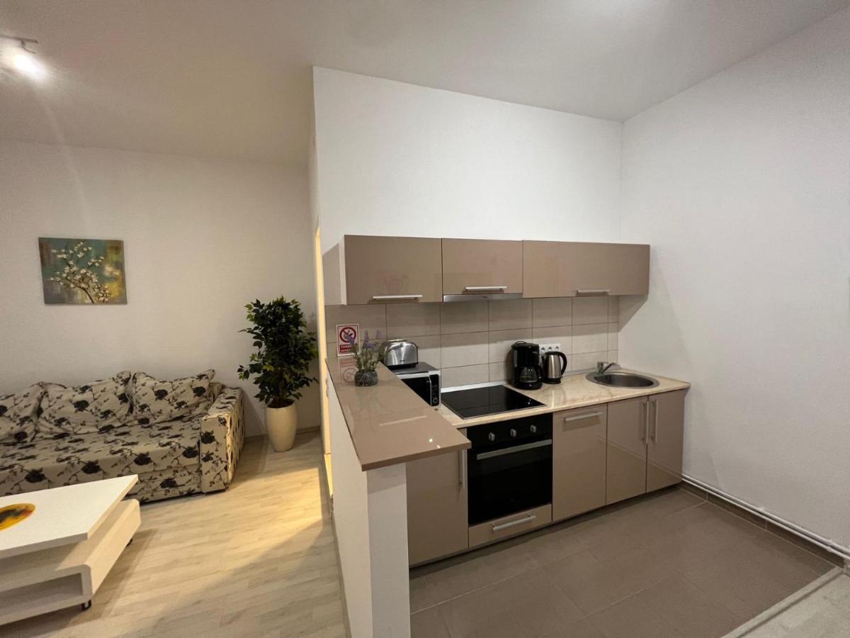 Apartament Teodora Sibiu Apartment Exterior photo