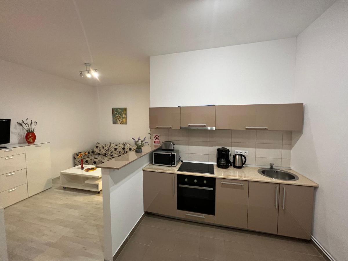 Apartament Teodora Sibiu Apartment Exterior photo